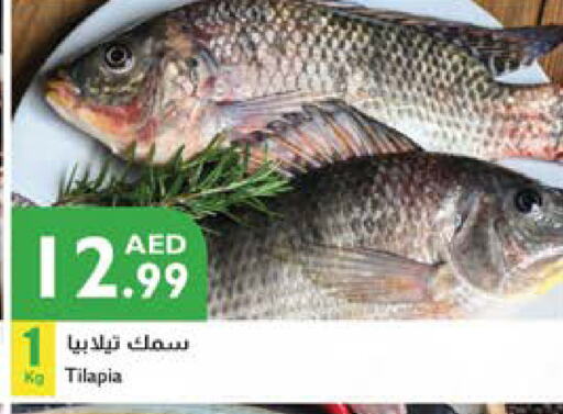 available at إسطنبول سوبرماركت in الإمارات العربية المتحدة , الامارات - ٱلْعَيْن‎