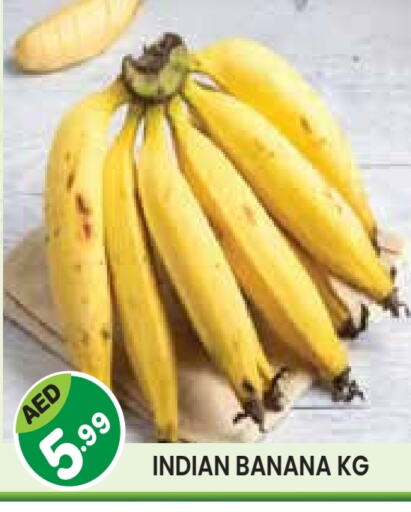 فاكهة طازجة in سنابل بني ياس, UAE Offers - الإمارات العربية المتحدة موز from India available at سنابل بني ياس in الإمارات العربية المتحدة , الامارات - أبو ظبي