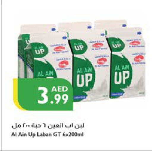 Laban available at Istanbul Supermarket in UAE - Al Ain