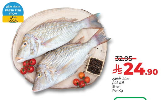 Fresh Fish in LULU Hypermarket, Saudi Arabia Offers - Saudi Arabia available at LULU Hypermarket in KSA, Saudi Arabia, Saudi - Dammam