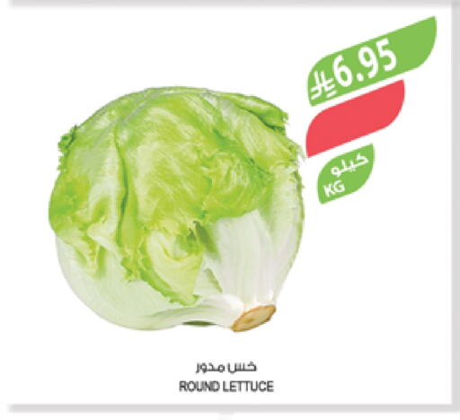 الخضروات الطازجة in المزرعة, المملكة العربية السعودية Offers - المملكة العربية السعودية Lettuce available at المزرعة in مملكة العربية السعودية, السعودية, سعودية - الباحة