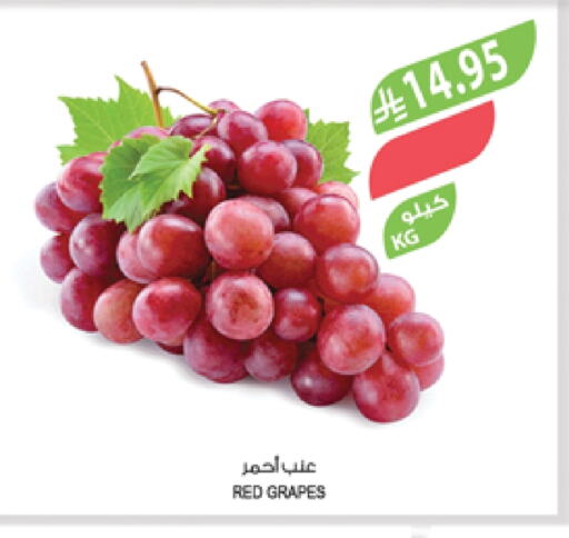 Grapes available at Farm  in KSA, Saudi Arabia, Saudi - Jazan