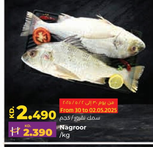 available at Lulu Hypermarket  in Kuwait - Kuwait City