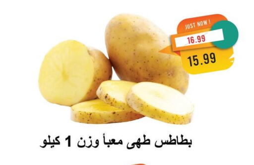 الخضروات الطازجة in مترو ماركت, Egypt Offers - Egypt بطاطا available at مترو ماركت in Egypt - القاهرة