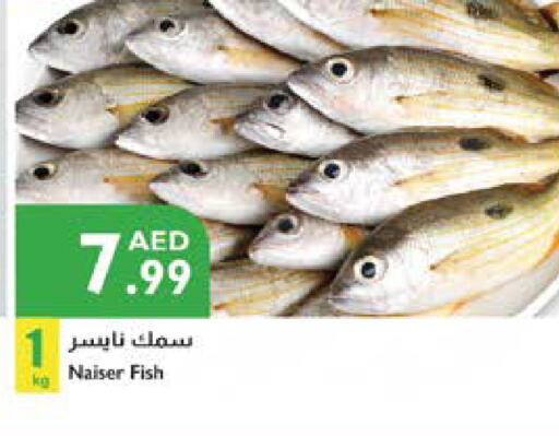 available at Istanbul Supermarket in UAE - Abu Dhabi