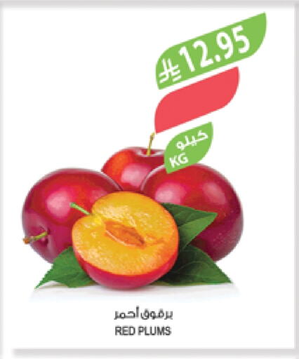 خوخ available at المزرعة in مملكة العربية السعودية, السعودية, سعودية - عرعر