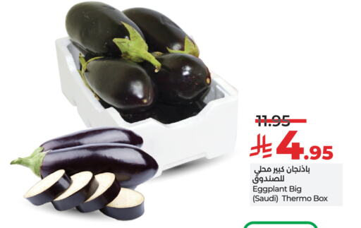 Eggplant from Saudi Arabia available at LULU Hypermarket in KSA, Saudi Arabia, Saudi - Hail