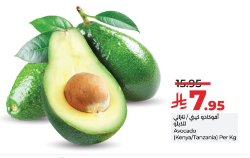 Avacado from Kenya Tanzania available at LULU Hypermarket in KSA, Saudi Arabia, Saudi - Hail