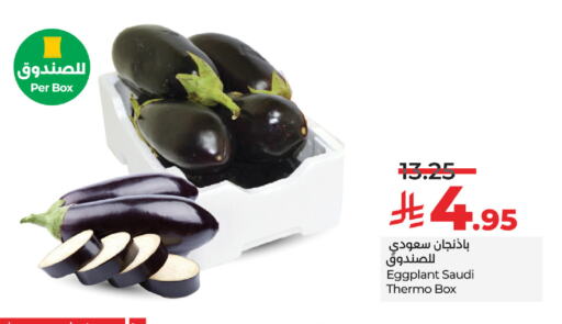Eggplant from Saudi Arabia available at لولو هايبرماركت in مملكة العربية السعودية, السعودية, سعودية - ينبع