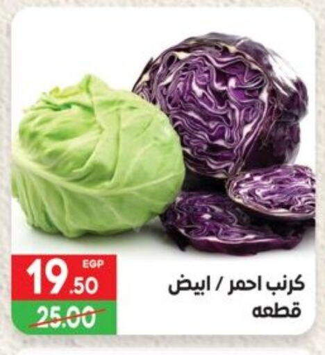 Fresh Vegetables in Hyper El Mansoura Shobra, Egypt Offers - Egypt Cabbage available at Hyper El Mansoura Shobra in Egypt - Cairo