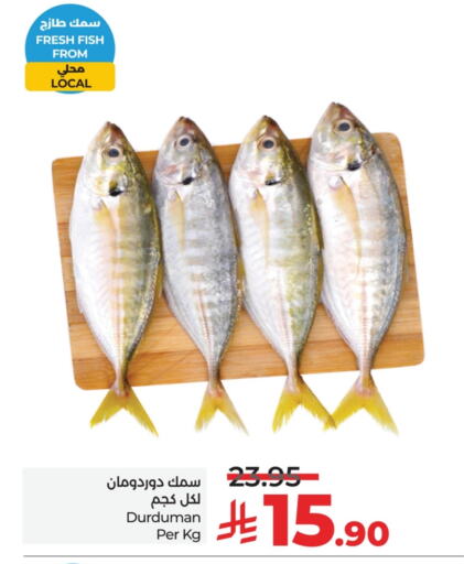 Fresh Fish in LULU Hypermarket, Saudi Arabia Offers - Saudi Arabia available at LULU Hypermarket in KSA, Saudi Arabia, Saudi - Al Hasa