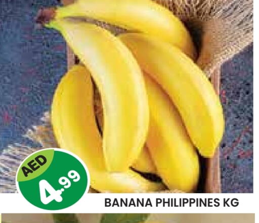 فاكهة طازجة in سنابل بني ياس, UAE Offers - الإمارات العربية المتحدة موز from Philippines available at سنابل بني ياس in الإمارات العربية المتحدة , الامارات - ٱلْعَيْن