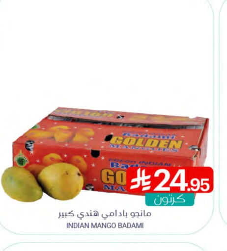 Mango Mango from India available at Muntazah Markets in KSA, Saudi Arabia, Saudi - Qatif