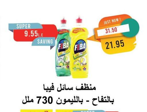 منظف عام available at مترو ماركت in Egypt - القاهرة