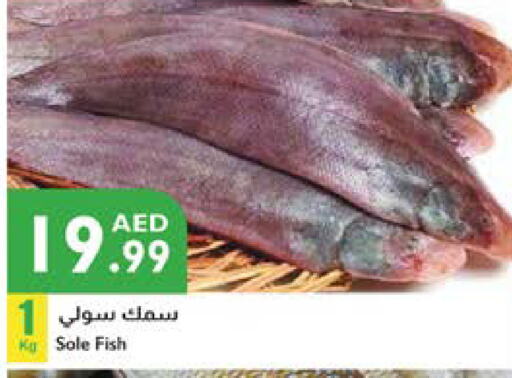 available at Istanbul Supermarket in UAE - Al Ain