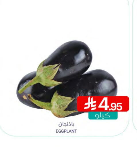 Eggplant available at Muntazah Markets in KSA, Saudi Arabia, Saudi - Qatif