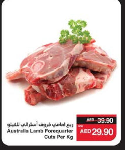 اللحوم الطازجة والمبردة in سبار هايبرماركت, UAE Offers - الإمارات العربية المتحدة لحم الضأن / الغنم available at سبار هايبرماركت in الإمارات العربية المتحدة , الامارات - ٱلْعَيْن
