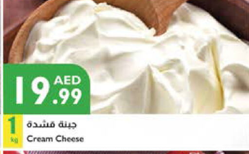 جبنة كريمية available at إسطنبول سوبرماركت in الإمارات العربية المتحدة , الامارات - ٱلْعَيْن‎