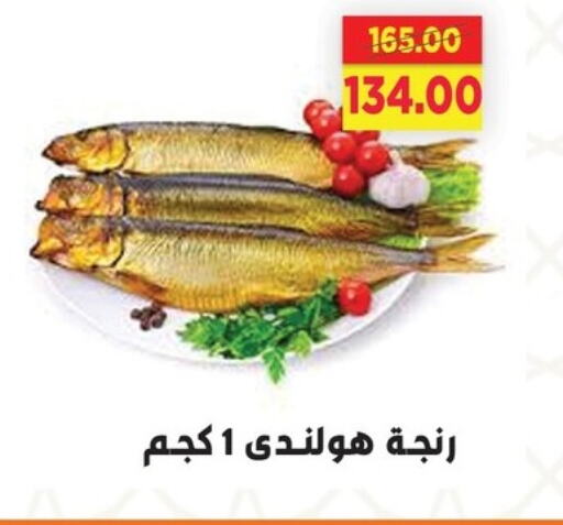 سمك مجمد in السلطان هايبرماركت, Egypt Offers - Egypt available at السلطان هايبرماركت in Egypt - القاهرة