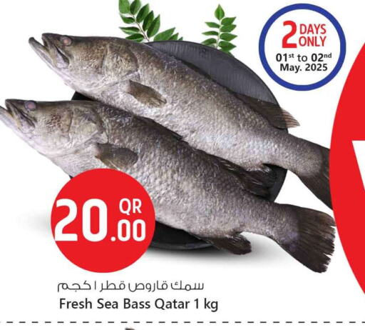 available at سفاري هايبر ماركت in قطر - الخور
