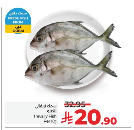 Fresh Fish in LULU Hypermarket, Saudi Arabia Offers - Saudi Arabia available at LULU Hypermarket in KSA, Saudi Arabia, Saudi - Dammam