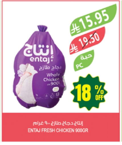 Chicken in Farm , Saudi Arabia Offers - Saudi Arabia Fresh Whole Chicken available at Farm in KSA, Saudi Arabia, Saudi - Arar