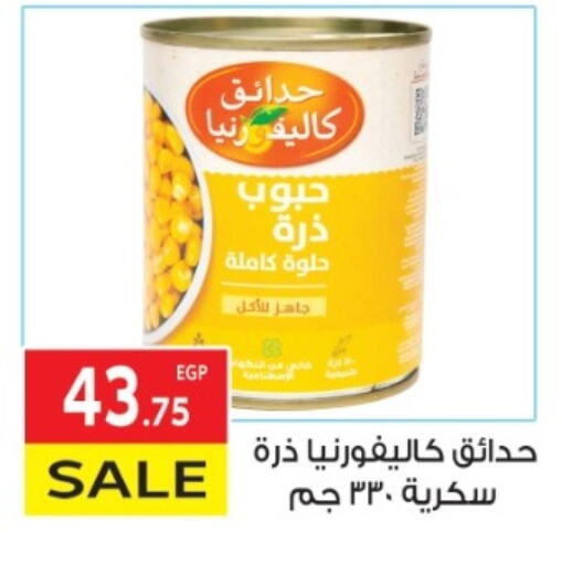 Canned & Packeted in El Mahallawy Market , Egypt Offers - Egypt CALIFORNIA available at El Mahallawy Market in Egypt - Cairo