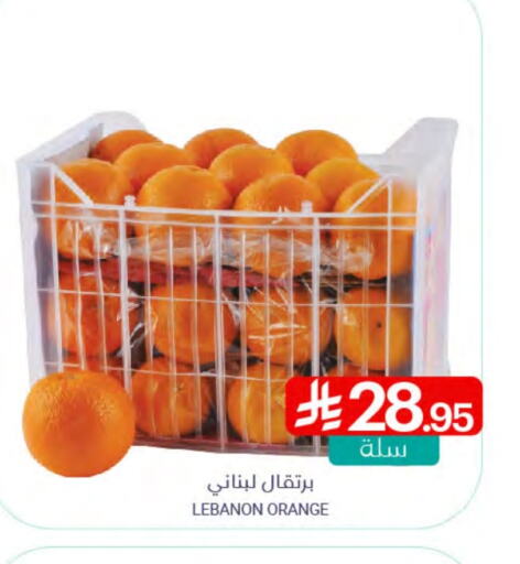 Orange from Lebanon available at Muntazah Markets in KSA, Saudi Arabia, Saudi - Qatif