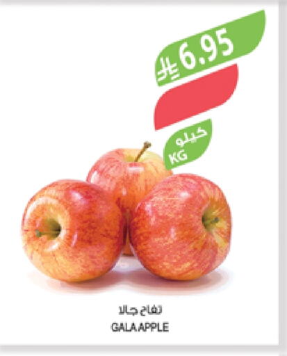 تفاح available at المزرعة in مملكة العربية السعودية, السعودية, سعودية - عرعر
