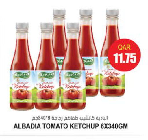 كاتشب الطماطم available at جراند هايبرماركت in قطر - الريان