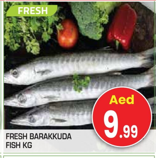 available at Baniyas Spike  in UAE - Al Ain