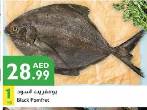 available at Istanbul Supermarket in UAE - Al Ain