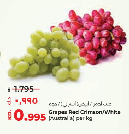 Fresh Fruits in Lulu Hypermarket , Kuwait Offers - Kuwait Grapes from Australia available at Lulu Hypermarket in Kuwait - Ahmadi Governorate
