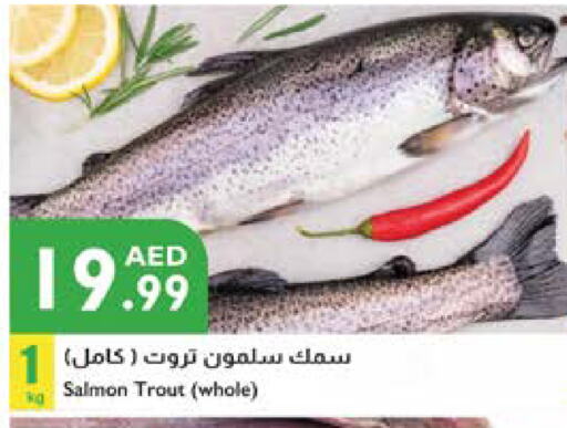 available at Istanbul Supermarket in UAE - Al Ain