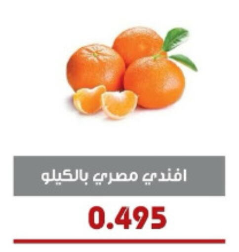 Orange available at Al- Surra Cooperative Society in Kuwait - Kuwait City