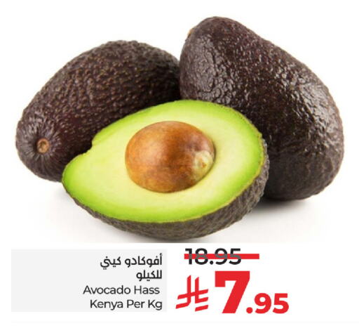 أفوكادو from Kenya available at لولو هايبرماركت in مملكة العربية السعودية, السعودية, سعودية - ينبع