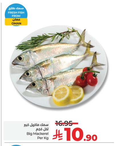 Fresh Fish in LULU Hypermarket, Saudi Arabia Offers - Saudi Arabia available at LULU Hypermarket in KSA, Saudi Arabia, Saudi - Al Hasa