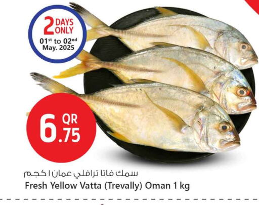 available at سفاري هايبر ماركت in قطر - الخور