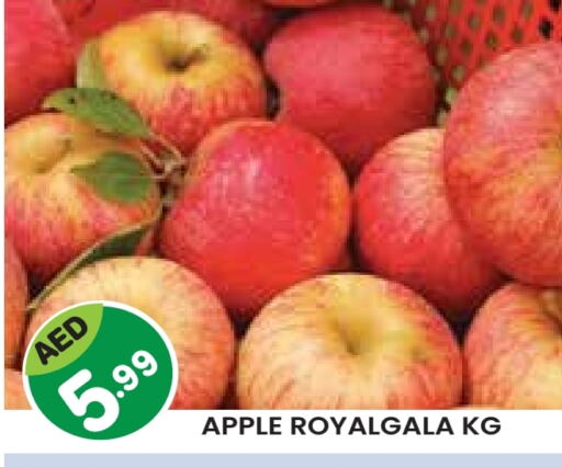 فاكهة طازجة in سنابل بني ياس, UAE Offers - الإمارات العربية المتحدة تفاح available at سنابل بني ياس in الإمارات العربية المتحدة , الامارات - ٱلْعَيْن