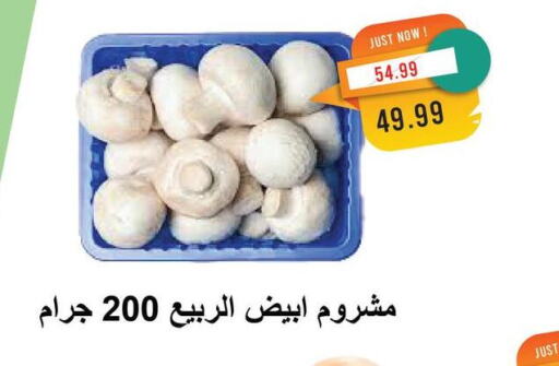 الخضروات الطازجة in مترو ماركت, Egypt Offers - Egypt available at مترو ماركت in Egypt - القاهرة