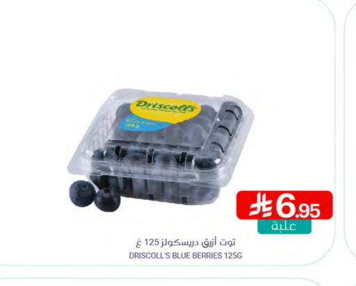 Berries available at Muntazah Markets in KSA, Saudi Arabia, Saudi - Qatif