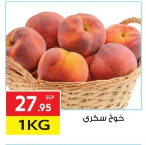 برقوق available at المحلاوي ماركت in Egypt - القاهرة