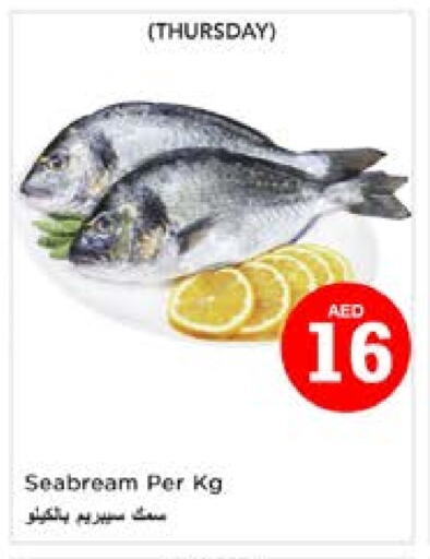 available at نستو هايبرماركت in الإمارات العربية المتحدة , الامارات - الشارقة / عجمان