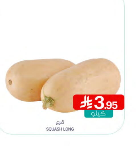 Squash available at Muntazah Markets in KSA, Saudi Arabia, Saudi - Qatif