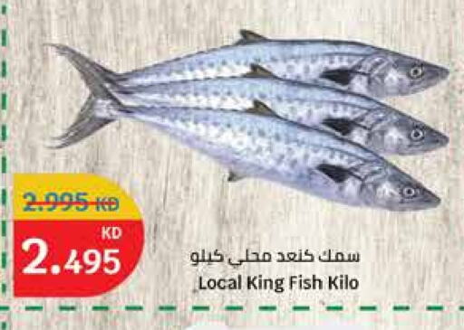 King Fish available at City Hypermarket in Kuwait - Ahmadi Governorate