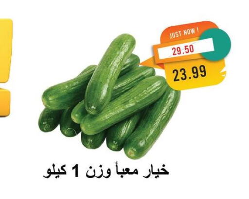 Cucumber available at Metro Market  in Egypt - Cairo