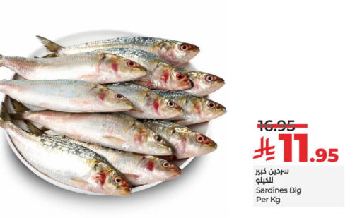 available at لولو هايبرماركت in مملكة العربية السعودية, السعودية, سعودية - تبوك