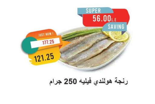سمك مجمد in مترو ماركت, Egypt Offers - Egypt available at مترو ماركت in Egypt - القاهرة
