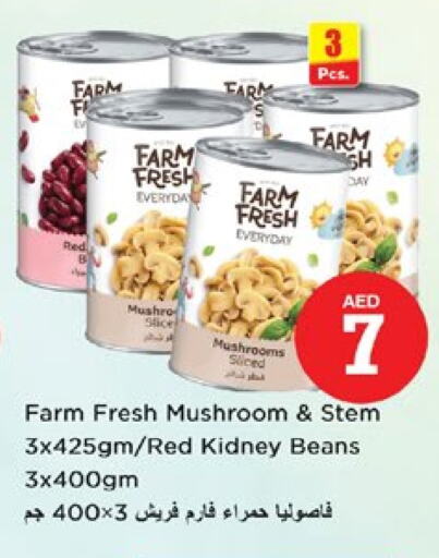أغذية معلبة ومغلفة in نستو هايبرماركت, UAE Offers - الإمارات العربية المتحدة Mushroom available at نستو هايبرماركت in الإمارات العربية المتحدة , الامارات - دبي