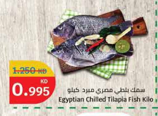 available at City Hypermarket in Kuwait - Ahmadi Governorate